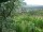Webcam in Feuerbach, 5 km entfernt