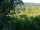 Webcam in Feuerbach, 4.8 mi away