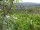 Webcam in Feuerbach, 4.3 mi away