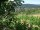 Webcam in Feuerbach, 7.5 mi away