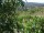 Webcam in Feuerbach, 8.5 mi away