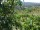 Webcam in Feuerbach, 8.9 km entfernt