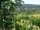 Webcam in Feuerbach, 14.7 km