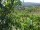 Webcam in Feuerbach, 4.4 mi away