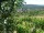 Webcam in Feuerbach, 14.7 km