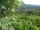 Webcam in Feuerbach, 12.3 km
