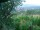 Webcam in Feuerbach, 3.7 mi away