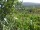 Webcam in Feuerbach, 4.4 mi away