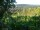 Webcam in Feuerbach, 18.6 km entfernt