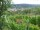 Webcam in Feuerbach, 14 mi away