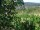 Webcam in Feuerbach, 5.6 mi away