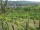Webcam in Feuerbach, 2.8 km