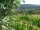 Webcam in Feuerbach, 4.8 mi away