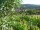 Webcam in Feuerbach, 9.1 km entfernt