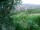 Webcam in Feuerbach, 7.5 mi away