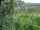 Webcam in Feuerbach, 5 km entfernt