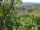 Webcam in Feuerbach, 22 km
