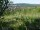 Webcam in Feuerbach, 16 km