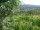 Webcam in Feuerbach, 6.2 mi away