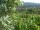 Webcam in Feuerbach, 22 km