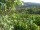 Webcam in Feuerbach, 22 km