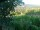 Webcam in Feuerbach, 3.7 mi away