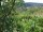 Webcam in Feuerbach, 8.9 km
