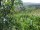 Webcam in Feuerbach, 5.6 mi away