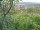 Webcam in Feuerbach, 6.6 mi away