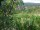 Webcam in Feuerbach, 10.3 km entfernt