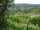 Webcam in Feuerbach, 1.8 mi away