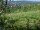 Webcam in Feuerbach, 6.6 mi away
