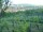 Webcam in Feuerbach, 14.4 km