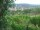 Webcam in Feuerbach, 1.8 mi away