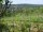 Webcam in Feuerbach, 2.8 km