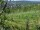 Webcam in Feuerbach, 10.3 mi away