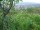 Webcam in Feuerbach, 9.6 mi away
