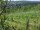 Webcam in Feuerbach, 18.6 km entfernt