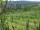 Webcam in Feuerbach, 4.2 mi away