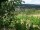 Webcam in Feuerbach, 10.3 km entfernt