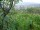 Webcam in Feuerbach, 2.3 mi away