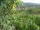 Webcam in Feuerbach, 4.3 mi away