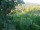 Webcam in Feuerbach, 9.6 mi away