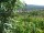 Webcam in Feuerbach, 22 km