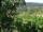 Webcam in Feuerbach, 3.7 mi away