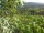 Webcam in Feuerbach, 6.2 mi away