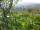 Webcam in Feuerbach, 3 mi away