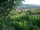 Webcam in Feuerbach, 4 mi away