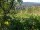 Webcam in Feuerbach, 5.7 mi away
