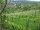 Webcam in Feuerbach, 22 km